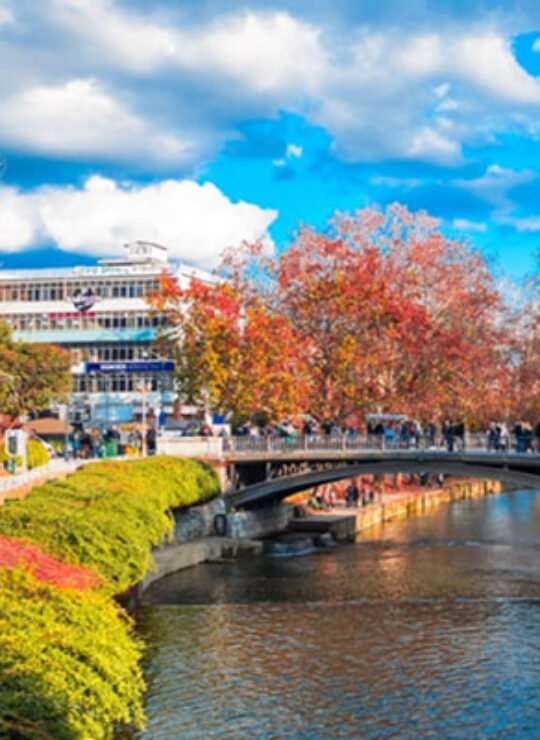 Τρίκαλα Τρίκαλα