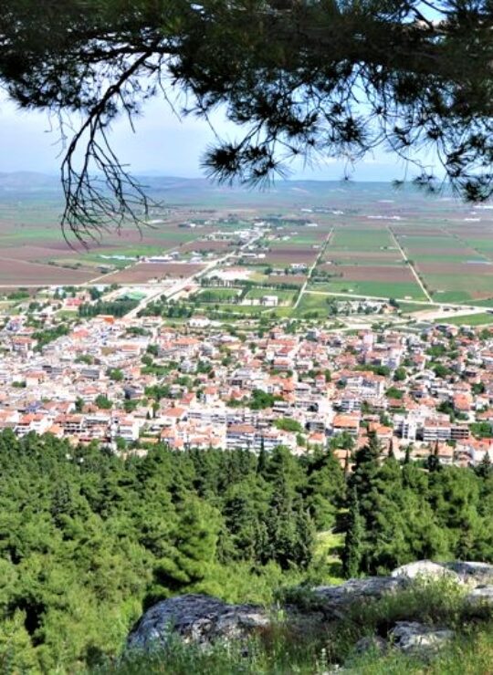 Φάρσαλα Φάρσαλα